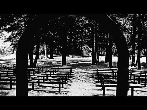 Cathedral in the Pines