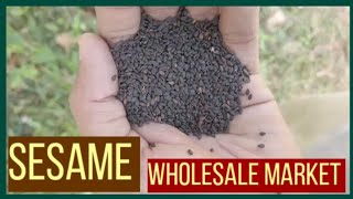 sesame seed wholesale market & price