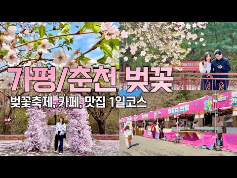 에덴벚꽃길 벚꽃축제 참고 영상 썸네일