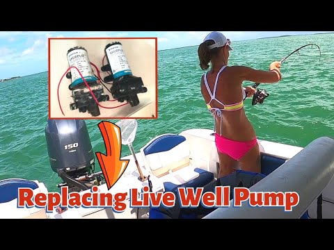 Replacing Live Well / Wash Down Pump on a ROBALO