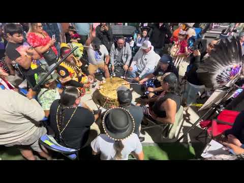 Young grey horse @ browning powwow 2023