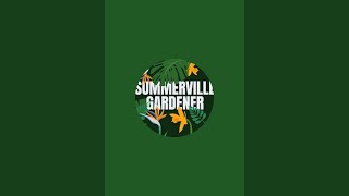 Summerville Gardener is live at SAVANNAH BANANAS in Charlotte NC!