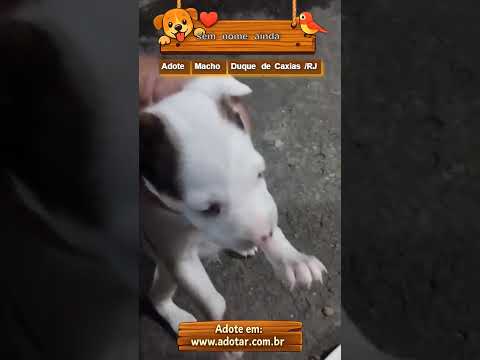 Vídeo de sem nome ainda
