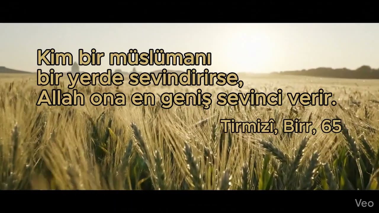 İnsanların en hayırlısı, insanlara faydalı olandır.