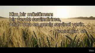 İnsanların en hayırlısı, insanlara faydalı olandır.