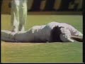 Sandeep Patil Hurt by Nasty Bouncer | Australia vs India 1981