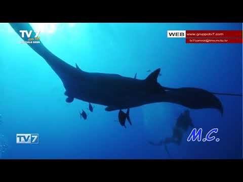 TV7 CON VOI SPECIALE SERA DEL 7/6/22 (6 di 7)