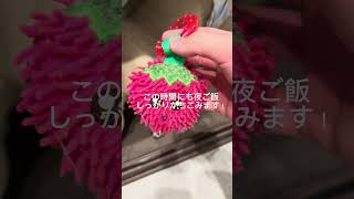 パグの日常Vlog #パグ #犬 #日常vlog #shorts