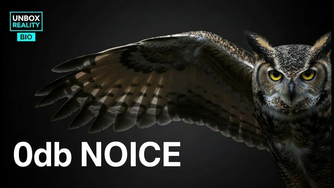 Wild Tech | The Owl: The Stolen Owl Wing Inside Your PC