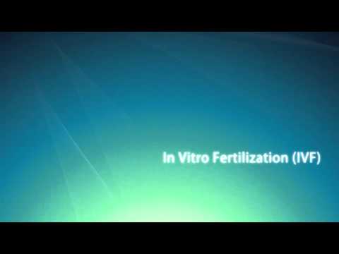 Step to Step Process of IVF Treatment in Delhi