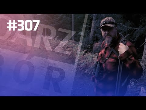 Darz Bór odc 307