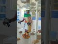 EL MUSEO DE LA ISLA DE LA ROQUETA EN ACAPULCO