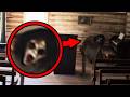 SCARY Videos That Will CREEP YOU OUT