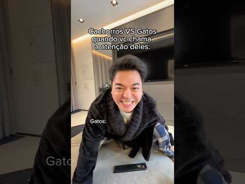 GATOS VS CACHORROS QUANDO VC FALA COM ELES 😹 KKKKK *publi