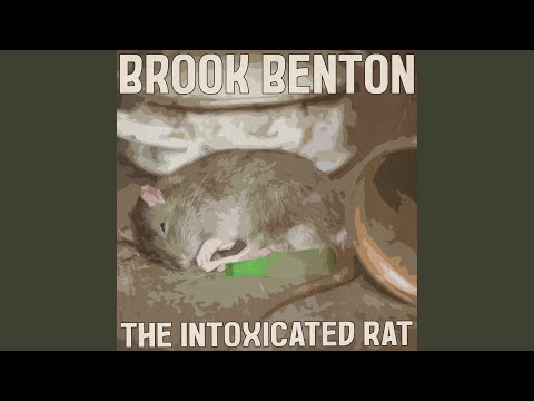 My True Confession (Remastered 2014)