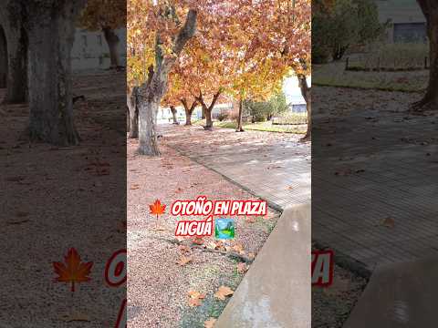 🍂 Plaza de Aiguá en Otoño | Colores que Enamoran 🌳