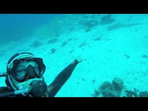 Centro de Mergulho Plongée Iles des Pins Kunie - SAC a 2