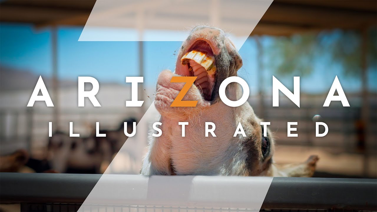 Arizona Illustrated: Border Wall, Mobile Homes &amp; Ostriches