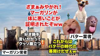 【マーガリン vs バター】食べるプラスチックは真っ赤なウソ！？150年以上続く因縁の歴史 #猫マニ #猫ミーム