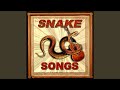 Snake Rag