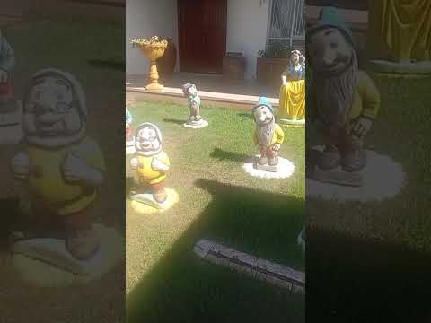 achei os doende en mineiros goias #3danimation