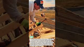 Professional Carpenter Using Claw Hammer on Wooden Roof Framing