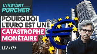 COMMENT L'EURO NOUS TUE AU QUOTIDIEN
