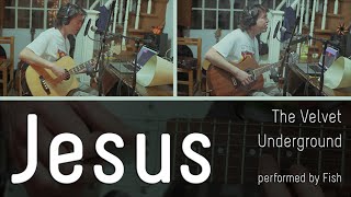 Jesus Cover - The Velvet Underground (Fish - 2015)