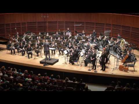 [OJV] Skyrim: The Dragonborn Comes - Live Orchestra