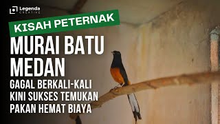 Download lagu Ternak Murai Pakai Pakan Ini, Biaya Minim Produksi Lancar #muraibatu mp3 Download lagu Ternak Murai Pakai Pakan Ini, Biaya Minim Produksi Lancar #muraibatu mp3