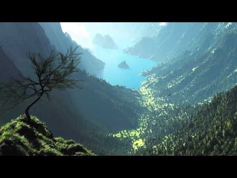 Don't Have To Tell You Why cover