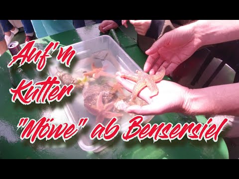 Kutterfahrt mit der Möwe ab Bensersiel zu den Seehundbänken