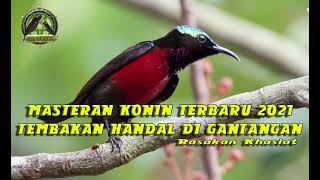 Download lagu MASTERAN KONIN TERBARU 2021 TEMBAKAN HANDAL DI GANTANGAN mp3 Download lagu MASTERAN KONIN TERBARU 2021 TEMBAKAN HANDAL DI GANTANGAN mp3