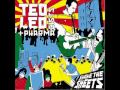 Ted Leo & the Pharmacists - Criminal Piece
