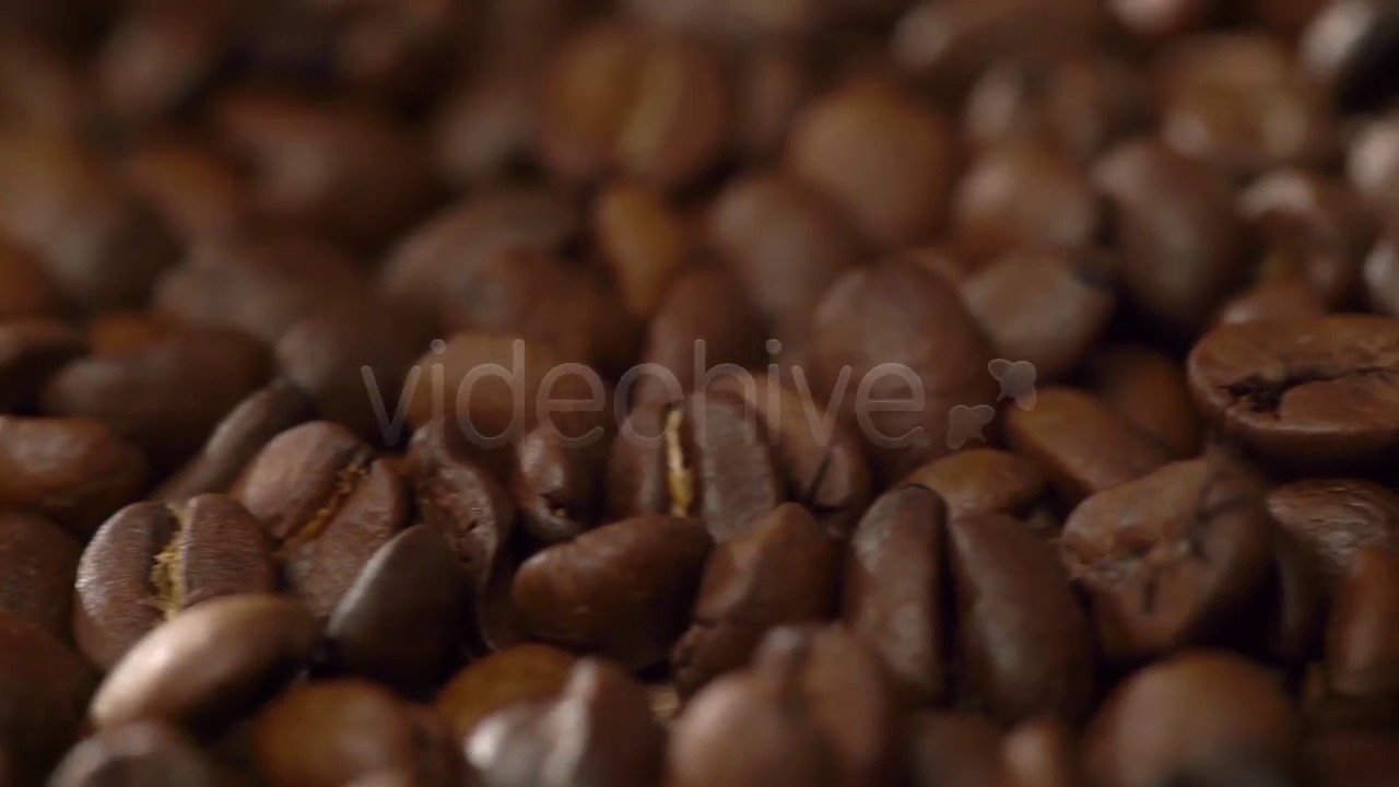 Coffee Shop AE Logo Reveal | After Effects project | Videohive template