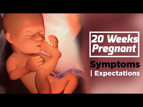 20 Weeks Pregnant | Pregnancy Week By Week Symptoms | The Voice Of Woman