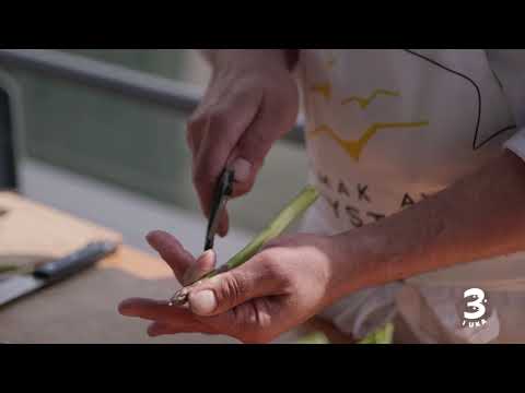 Grillet rødspette med asparges