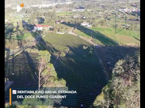 EN VENTA | TERRENO PRODUCTIVO CON CULTIVO DE FRESAS | EL ROSAL – MOCHA