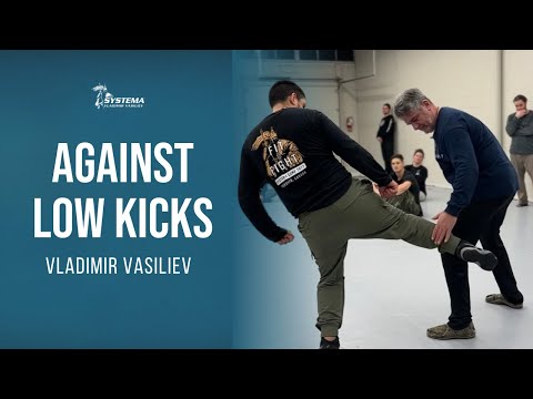 Against Low Kicks
