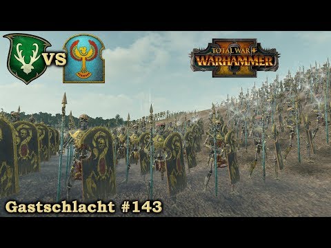 Baum gegen Knochen - Gastschlacht #143 - Gruftkönige vs Waldelfen - Total War: Warhammer 2 deutsch