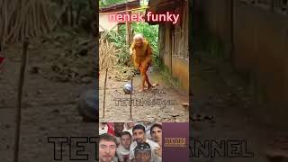 Download lagu nenek funky mp3