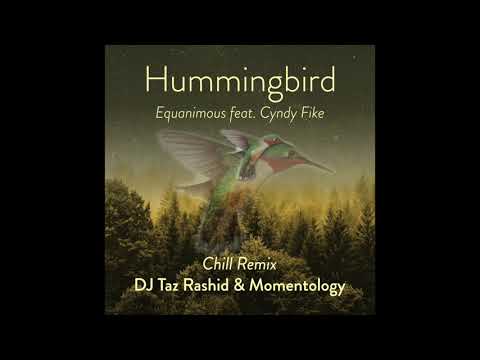 Equanimous - Hummingbird Chill Mix (DJ Taz Rashid & Momentology Remix) feat. Cyndy Fike