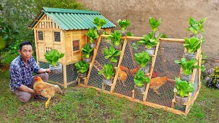 My father DIY 2in1 chicken coop run to raise chicken and grow organic vegetables