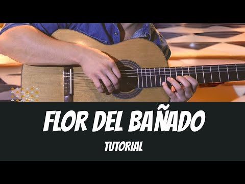 Flor del bañado / TUTORIAL versión LOS OLIMAREÑOS