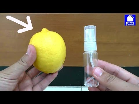 Peserta program NTV kehilangan berat badan bersama-sama Tentu saja video yang efektif pada penurunan berat badan