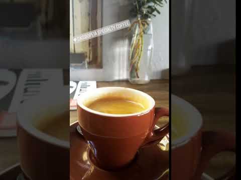 Café Especial Cassiopeia