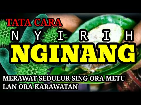 Cara membuat kinang/nyirih | Merawat sedulur sing ora metu lan ora karawatan.