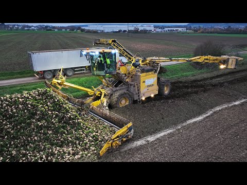 Rüben verladen bis in die Nacht | Ropa Maus 5 2022