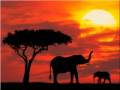 This Land Instrumental The Lion King