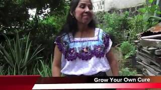 preview picture of video 'Grow Your Own Cure Guatemala'